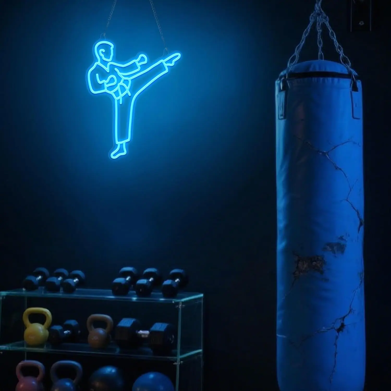 Enseigne néon Karaté Man, art  - Home Gym Neon Sign avis et prix